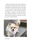 결 고운 천사들 | 두푸딩 언니 이현화 | 알라딘 결 고운 천사들 | 두푸딩 언니 이현화