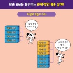 바빠 초등 문장의 5형식 영작문 : 알라딘