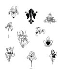 [중고] 어썸 스케치북 : 꽃 | 리사 콩돈 | 알라딘 [중고] 어썸 스케치북 : 꽃 | 리사 콩돈