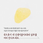 오롯이 내 인생이잖아요 : 알라딘