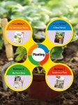 Ready, Set, Discover! 1: The Enormous Turnip (Student Book + App QR + Activity Book + Wall Chart) | 알라딘 Ready, Set... 