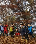 그 숲에 작은 별들이 살아요 | 솔빛숲유치원교육공동체 | 알라딘 그 숲에 작은 별들이 살아요 | 솔빛숲유치원교육공동체