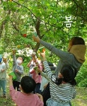그 숲에 작은 별들이 살아요 | 솔빛숲유치원교육공동체 | 알라딘 그 숲에 작은 별들이 살아요 | 솔빛숲유치원교육공동체