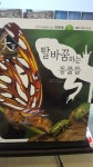 알라딘: [중고] 탈바꿈 하는 동물들-사진과 세밀화로 보는 자연관찰 [중고] 탈바꿈 하는 동물들-사진과 세밀화로 보는 자연관찰
