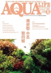 알라딘: 아쿠아 라이프 Aqua Life 2024.10 아쿠아 라이프 Aqua Life 2024.10