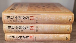 [중고] [세트] 대산 주역강의 1~3 세트 - 전3권 | 알라딘 [중고] [세트] 대산 주역강의 1~3 세트 - 전3권