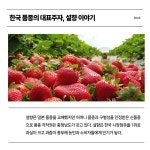 당신이 모르는 진짜 농업 경제 이야기 | 이주량 | 알라딘 당신이 모르는 진짜 농업 경제 이야기 | 이주량
