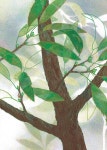 나의 겨울은 | 김선남 | 알라딘 나의 겨울은 | 김선남