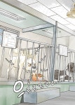 어미개77, 개농장 탈출 사건 | 단비어린이 문학 | 최수영 | 알라딘 어미개77, 개농장 탈출 사건 | 단비어린이 문학  | 최수영