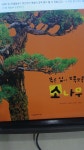 [중고] 푸른 잎이 뽀족뽀족 소나무-탄탄 자연속으로 | 여원미디어 | 알라딘 [중고] 푸른 잎이 뽀족뽀족 소나무-탄탄 자연속으로 | 여원미디어