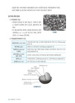 [전자책] 바리스타 1급 핵심요약+실전문제 | 타임 NCS 바리스타연구소 | 알라딘 바리스타 1급 핵심요약+실전문제 | 타임 NCS 바리스타연구소