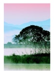생태로 보는 우포늪 이야기 | NIE Eco Special 4 | 국립생태원 엮음 | 알라딘 생태로 보는 우포늪 이야기 | NIE Eco Special 4... 