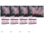 알라딘: [중고] 전쟁과 평화 1~4 세트 - 전4권 [중고] 전쟁과 평화 1~4 세트 - 전4권