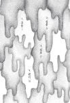 창귀 | 문화류씨 | 알라딘 창귀 | 문화류씨