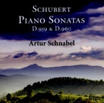 알라딘: [중고] [수입] 슈베르트 : 피아노 소나타 20번 & 21번 [중고] [수입] 슈베르트 : 피아노 소나타 20번 & 21번