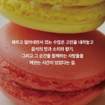 0칼로리의 날들 : 알라딘