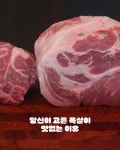 미트러버의 고기백과사전 | 황재석.김지윤 | 알라딘 미트러버의 고기백과사전 | 황재석.김지윤