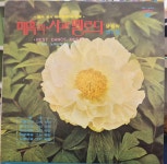 알라딘: [중고] [LP] 노명석과 그의 악단 / 매혹의 사교 멜로듸 생음악 제5집 - 칼멘야곡 / 노래가락 차차차 [중고] [LP] 노명석과 그의 악단... 