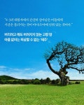 사월에 부는 바람 : 알라딘