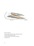일상 그리기 : 알라딘