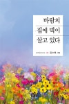 바람의 집에 벽이 살고 있다 : 알라딘