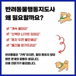 2025 반려동물행동지도사 필기 한권 완전정복 | 2025 반려동물행동지도사 시리즈 (박영스토리) | 김병부 외 | 알라딘 2025 반려동물행동지도사... 