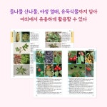야생화 쉽게 찾기 | 자연 쉽게 찾기 시리즈 | 윤주복 | 알라딘 야생화 쉽게 찾기 | 자연 쉽게 찾기 시리즈  | 윤주복