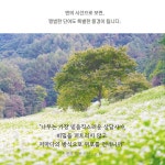 앤의 행복 사전 : 알라딘