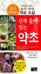 [중고] 산과 들에 있는 약초 : 알라딘