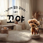 [전자책] 느리게 핥는 강아지 꼬야 | 최희영(꼬야누나) | 알라딘 느리게 핥는 강아지 꼬야 | 최희영(꼬야누나)