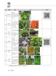 메인에듀 조경기능사(필기+실기) 한권으로 끝내기 | 정문환 | 알라딘 메인에듀 조경기능사(필기+실기) 한권으로 끝내기 | 정문환