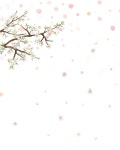 선녀 세탁소 | 북극곰 꿈나무 그림책 123 | 한진희 | 알라딘 선녀 세탁소 | 북극곰 꿈나무 그림책 123 | 한진희