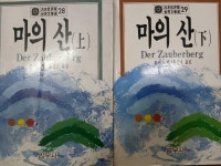 [중고] 범우비평판 세계문학선 28,29 마의 산 상,하 2권1987년 판 | 토마스 만 | 알라딘 [중고] 범우비평판 세계문학선 28,29 마의 산 상,하... 