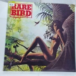 [중고] [LP] EMI, 예음사) 레어버드 Rare Bird – Sympathy (1970년... EMI, 예음사) 레어버드 Rare Bird ‎– Sympathy (1970년 제작, 1985년... 