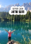 퇴직한 김에 세계 일주 | 송경숙 | 알라딘 퇴직한 김에 세계 일주 | 송경숙