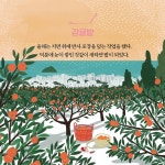 제주를 그리며 제주를 그리다 | 이현미 | 알라딘 제주를 그리며 제주를 그리다 | 이현미
