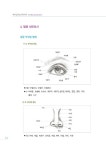 뷰티일러스트레이션 | 박미정 외 | 알라딘 뷰티일러스트레이션 | 박미정 외