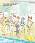 모두의 수영장 | 야옹이 수영 교실 4 | 신현경 | 알라딘 모두의 수영장 | 야옹이 수영 교실 4 | 신현경