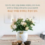 아주 사소한 갈등 | 민현기 | 알라딘 아주 사소한 갈등 | 민현기