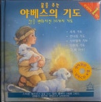 [중고] 꿈을 주는 야베스의 기도 | 알라딘 [중고] 꿈을 주는 야베스의 기도