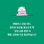 금쪽같은 우리 댕댕이, 견생역전 프로젝트 | 최인영 | 알라딘 금쪽같은 우리 댕댕이, 견생역전 프로젝트 | 최인영