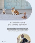 Re:move 리무브 4호.2025 | 비파이브크루 편집부 | 알라딘 Re:move 리무브 4호.2025 | 비파이브크루 편집부