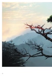 노송, 고송, 초송, 신송을 찾아서 | 장국현 | 알라딘 노송, 고송, 초송, 신송을 찾아서 | 장국현