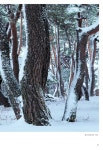 노송, 고송, 초송, 신송을 찾아서 | 장국현 | 알라딘 노송, 고송, 초송, 신송을 찾아서 | 장국현