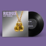[수입] Cat Power - Redux [LP / 2026년 재발매] | 캣 파워 (Cat Power) 노래 | 알라딘 [수입] Cat Power - Redux [LP / 2026년 재발매]... 