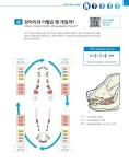 수의사와 보호자가 함께 보는 반려동물 아틀라스 시리즈 : 치과·구강외과 (스프링) | 수의사와 보호자가 함께 보는 반려동물 아틀라스... 