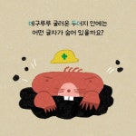 춤출래 ㄱㄴㄷ | 동글 | 알라딘 춤출래 ㄱㄴㄷ | 동글