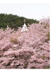 울림을 보다 | 윤종효 | 알라딘 울림을 보다 | 윤종효