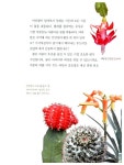 알라딘: [중고] 열려라! 꽃나라 [중고] 열려라! 꽃나라