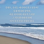 모든 날의 강원 | 이영재 | 알라딘 모든 날의 강원 | 이영재